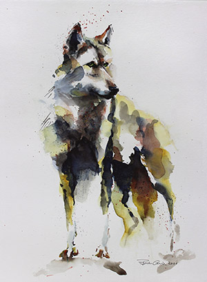 Wolf