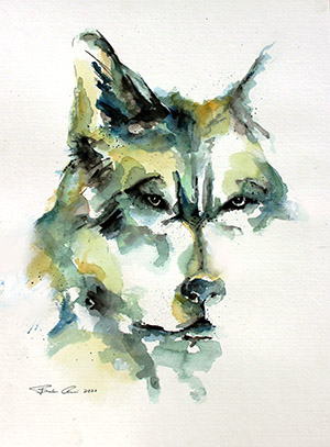 Wolfsgesicht